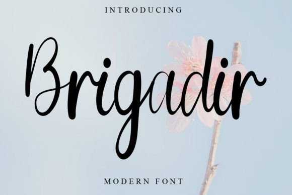 Brigadir Font: Elevating Editorial Design with Handwritten Charm